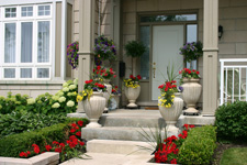 How Charming! Tips for Creating Great Curb Appeal